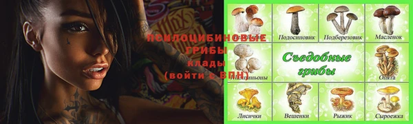 метадон Протвино