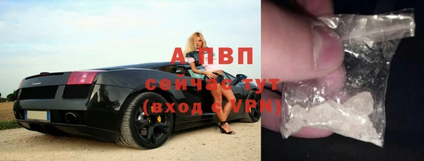 молекула духа Алексин