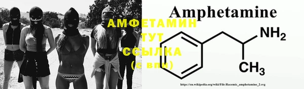 молекула духа Алексин