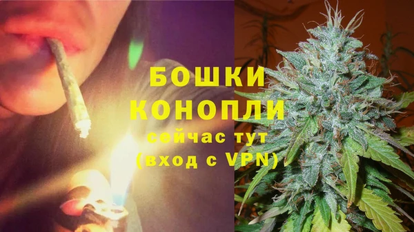 трава Алзамай