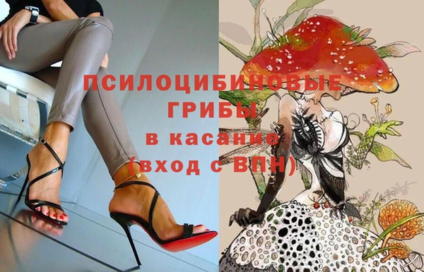 трава Алзамай