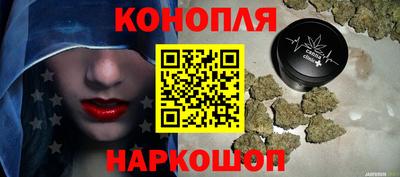 гидропоника Новозыбков